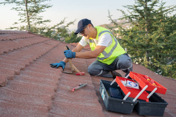 Best Roof Waterproofing Services  in Diaz, AR