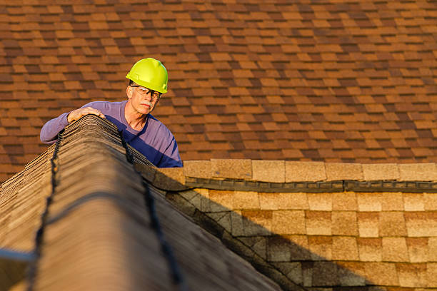 Best Flat Roof Repair Services  in Diaz, AR