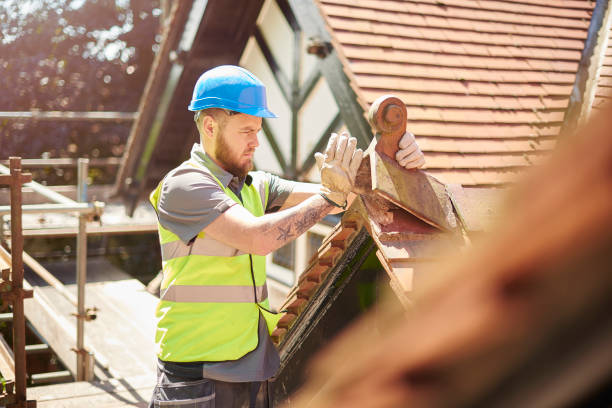 Best Commercial Roofing Services  in Diaz, AR
