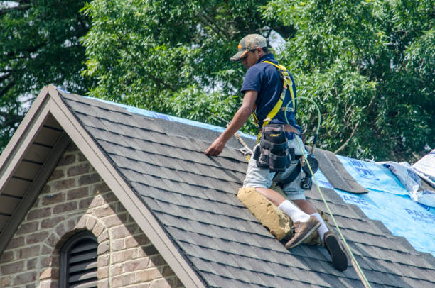 Roof Gutter Cleaning in Diaz, AR